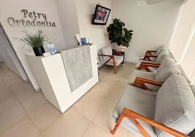 Petry Ortodoncia Estructura 2